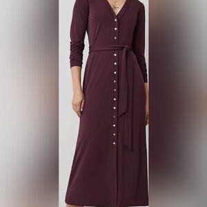 Ann Taylor Elegant Purple Button-Down Dress